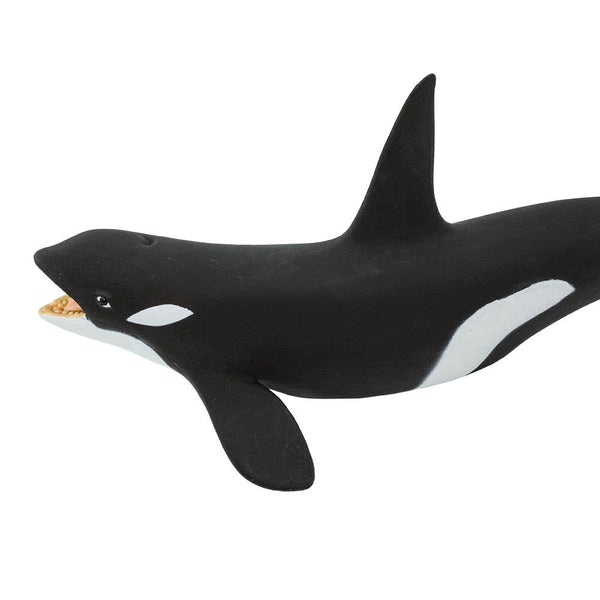 Killer Whale - 275129