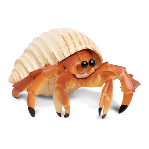 Hermit Crab - 267529