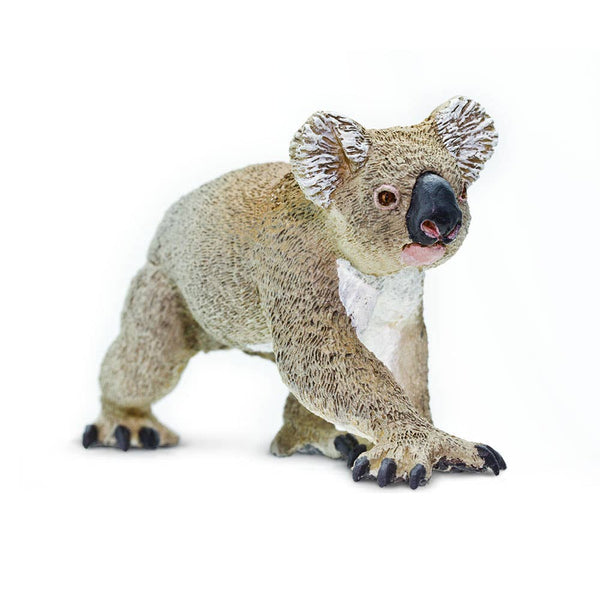 Koala - 225329