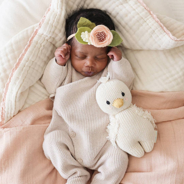 Cuddle and Kind Baby gosling, gives 5 meals