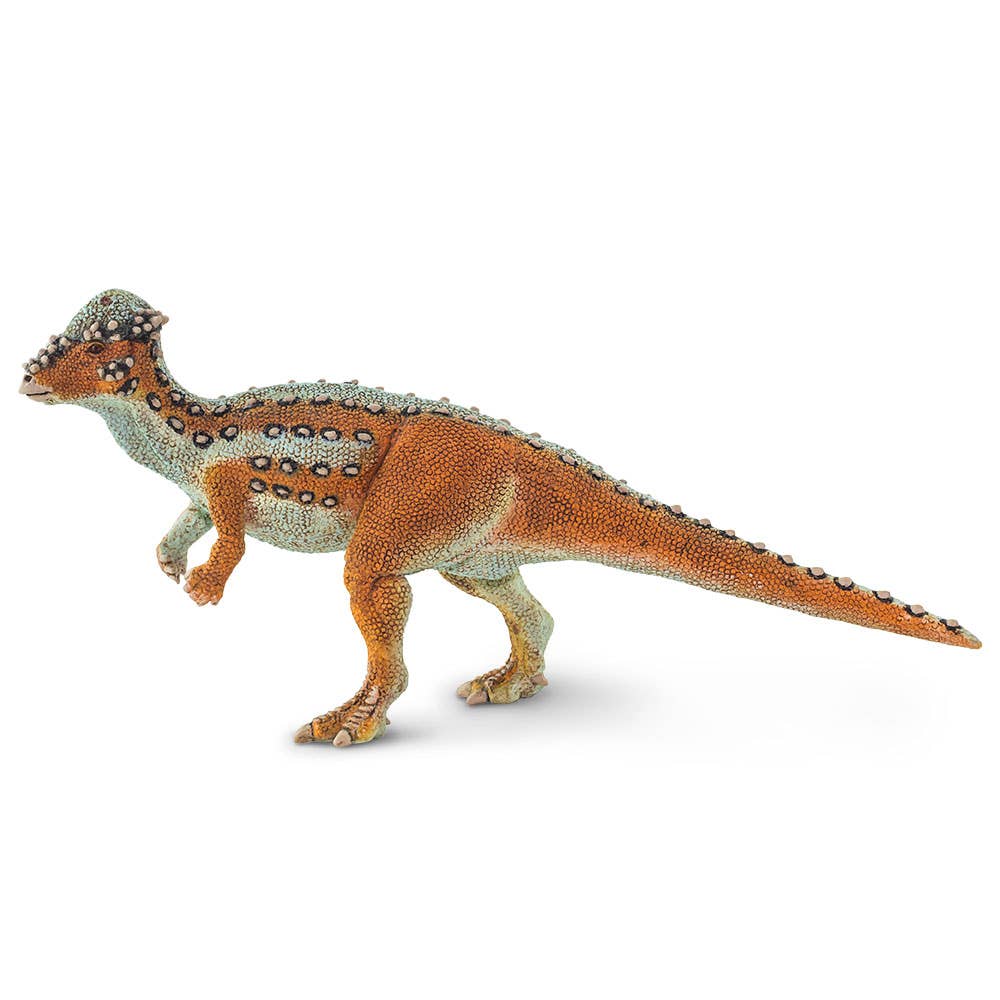 Pachycephalosaurus - 100350