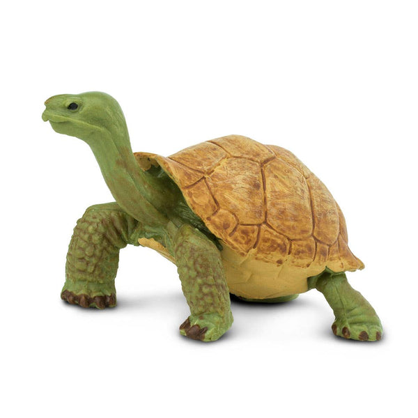 Giant Tortoise - 272529