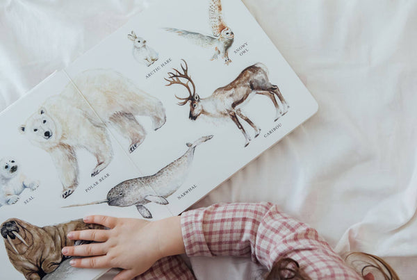 Paige and Tate Our Big Book of Animals (Board Book)