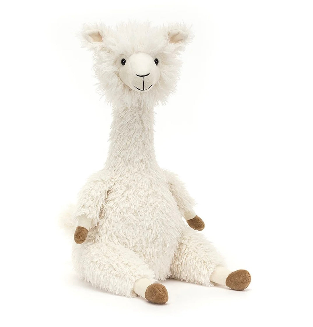 Alonso Alpaca