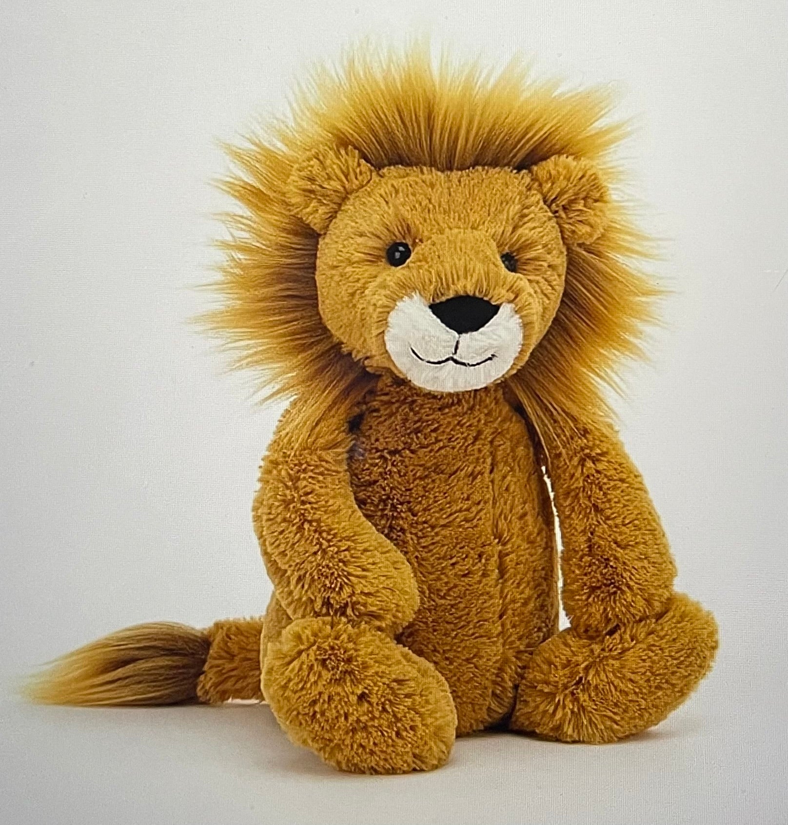 Bashful Lion (Medium)