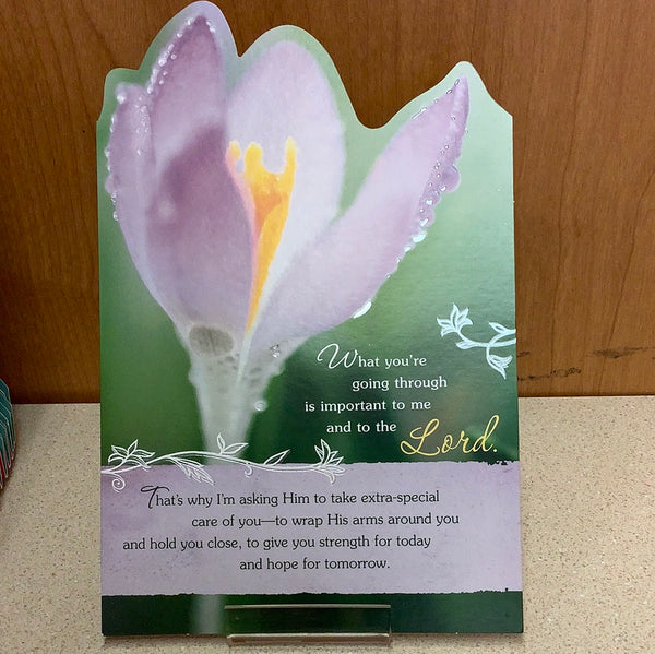 DaySpring Everyday Cards - Bright Blessings