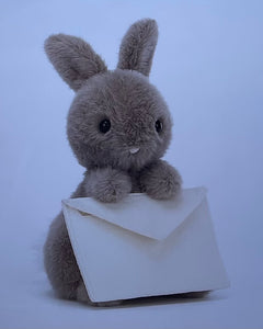 Messenger Bunny