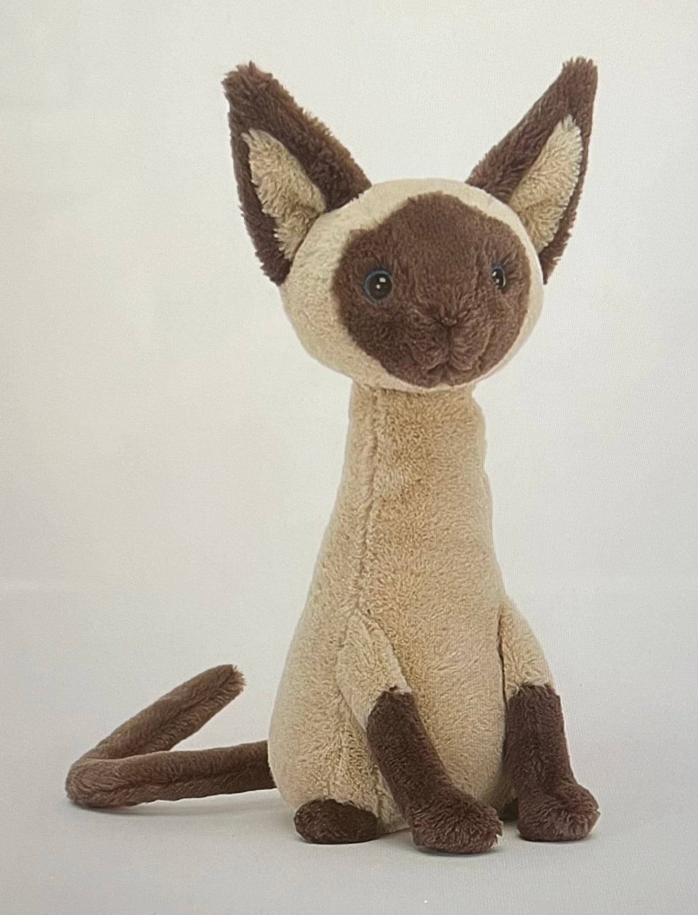 Iris Siamese Cat