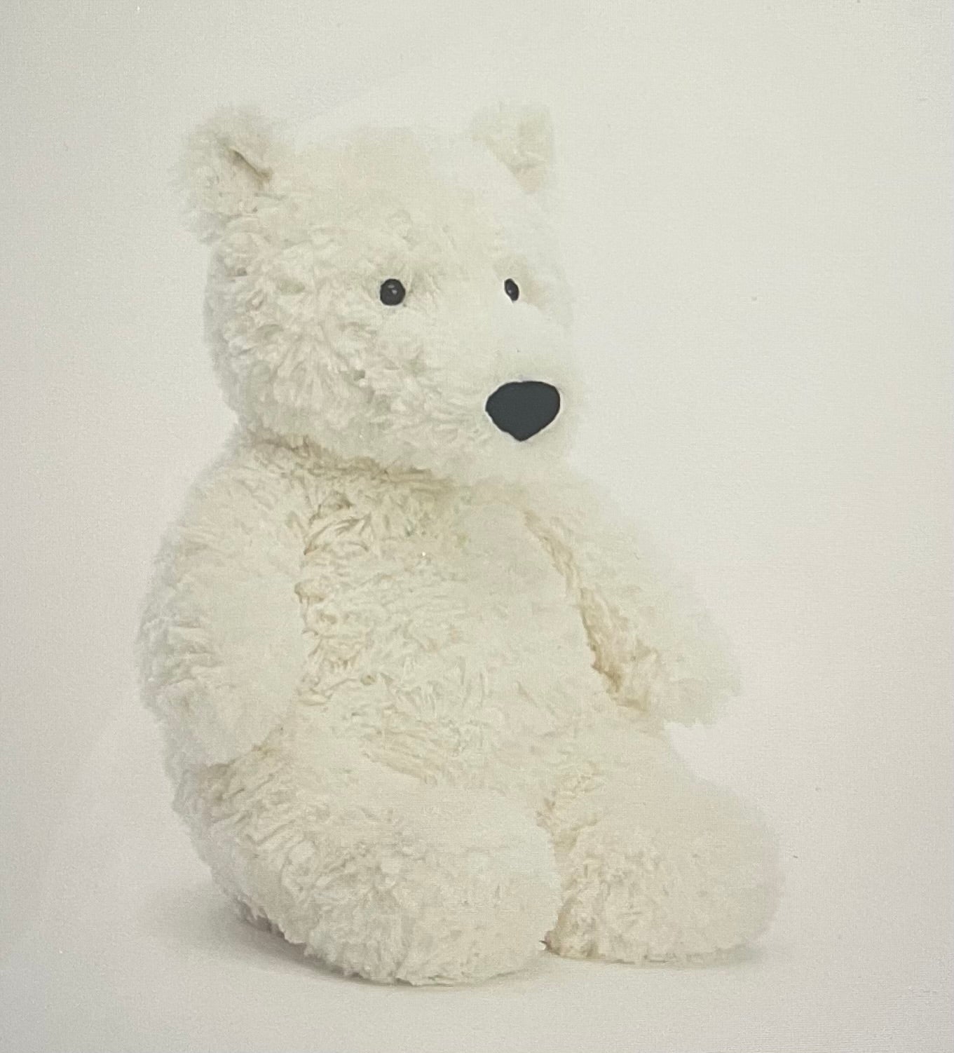 Edmund Cream Bear