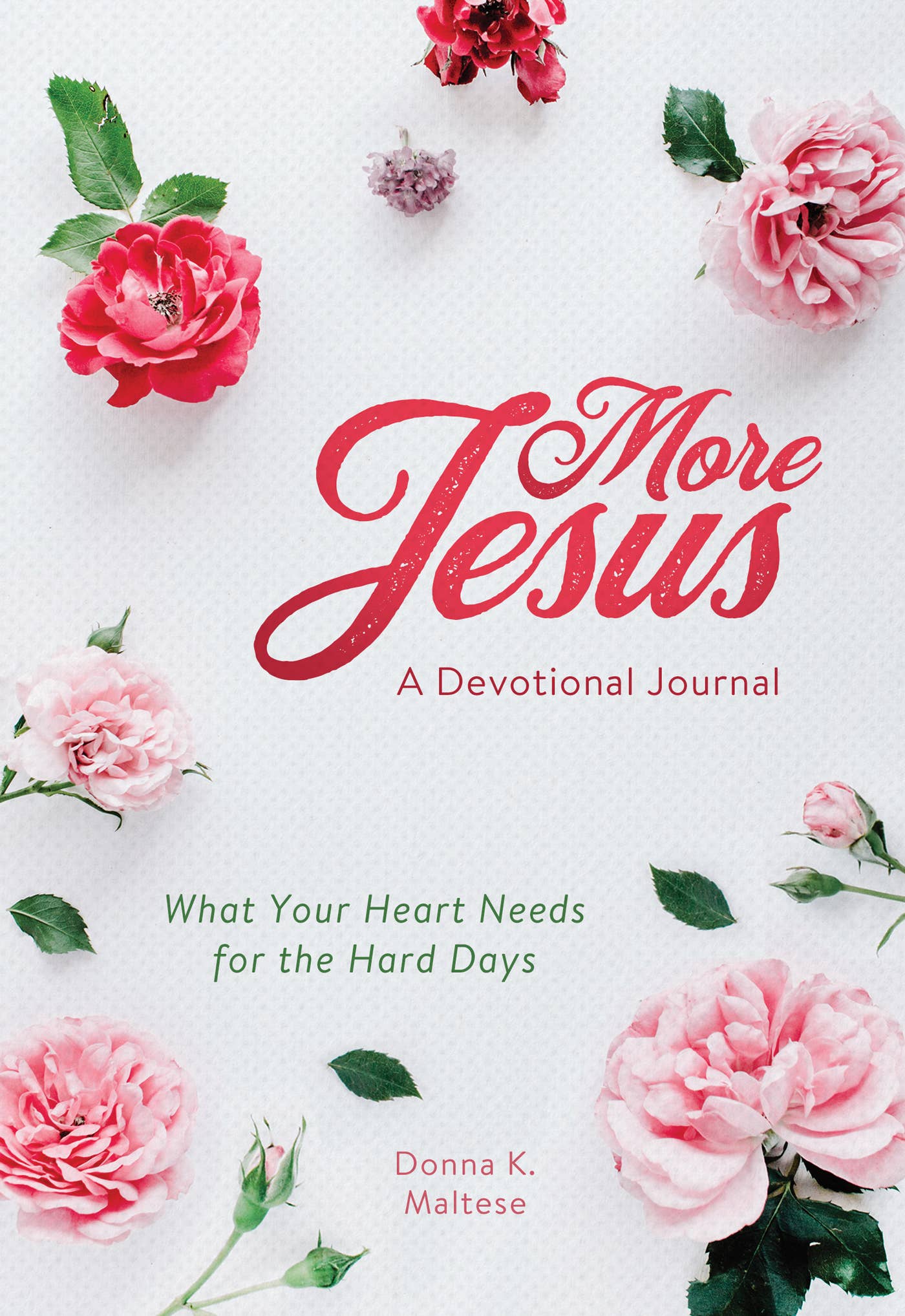 More Jesus: A Devotional Journal