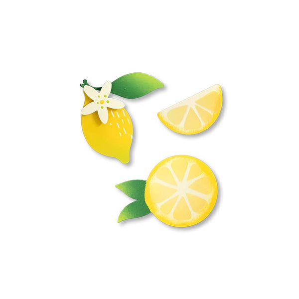 Lemon Magnets S/3, Everyday Decor