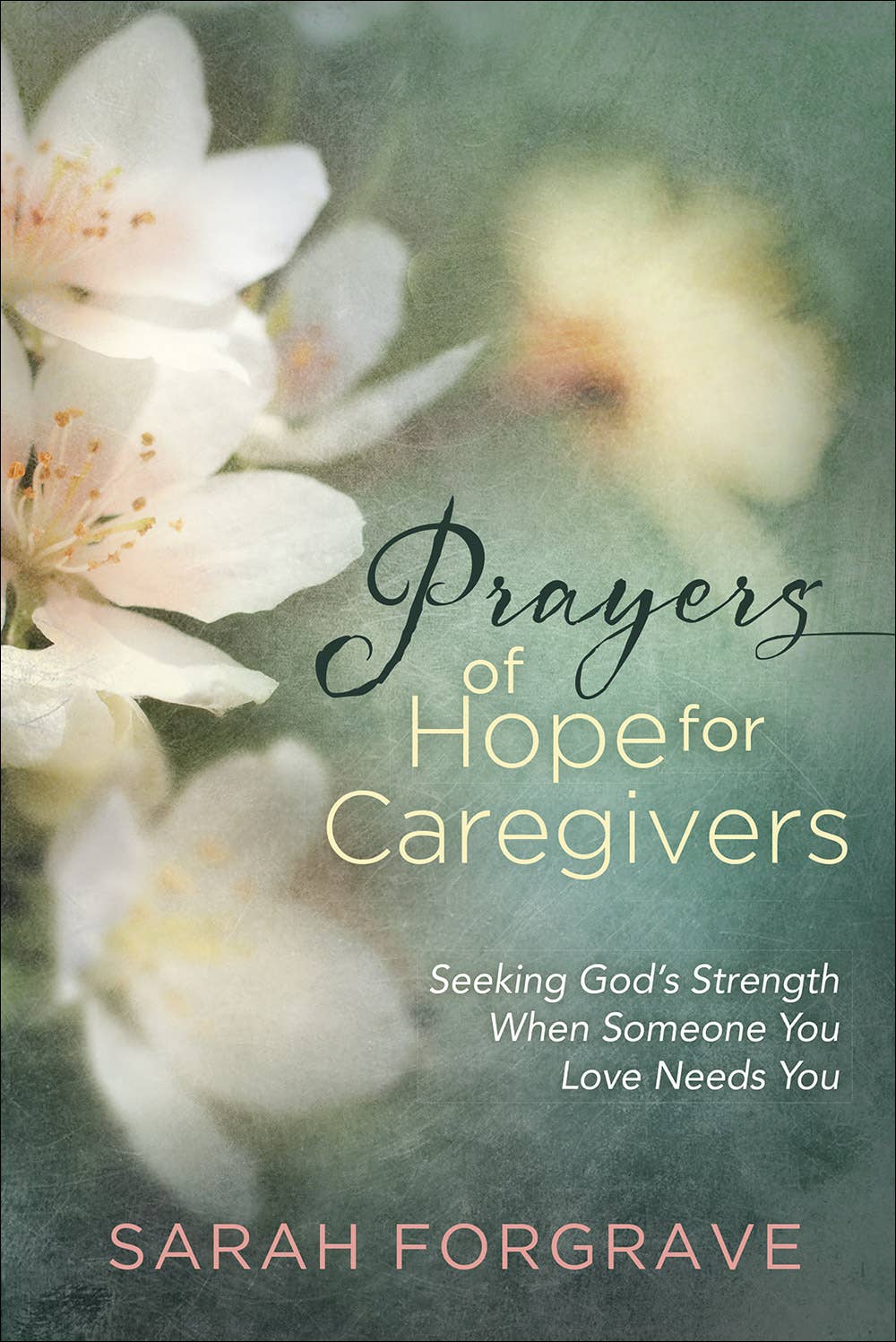 Prayers of Hope for Caregivers, Book