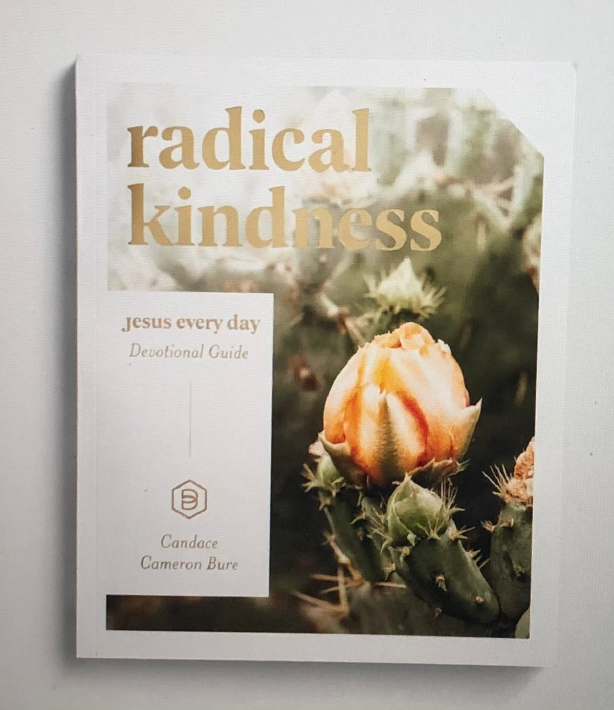 Candace Cameron Bure - Jesus Every Day: Radical Kindness - Devotional Guide