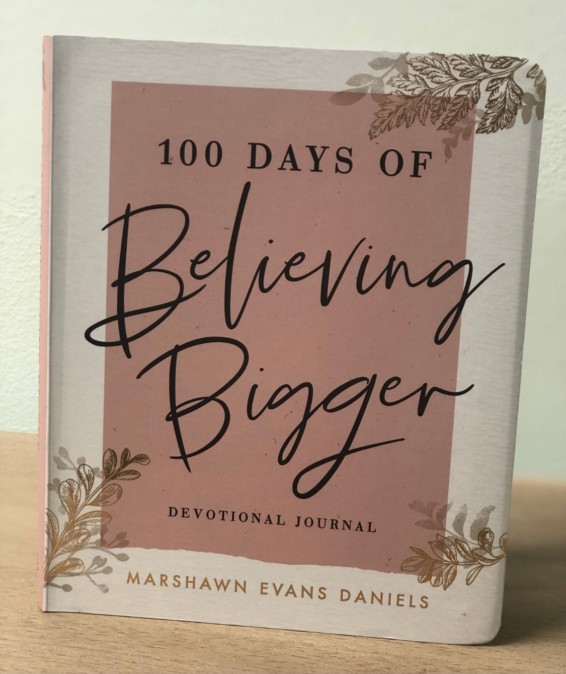 100 Days of Believing Bigger