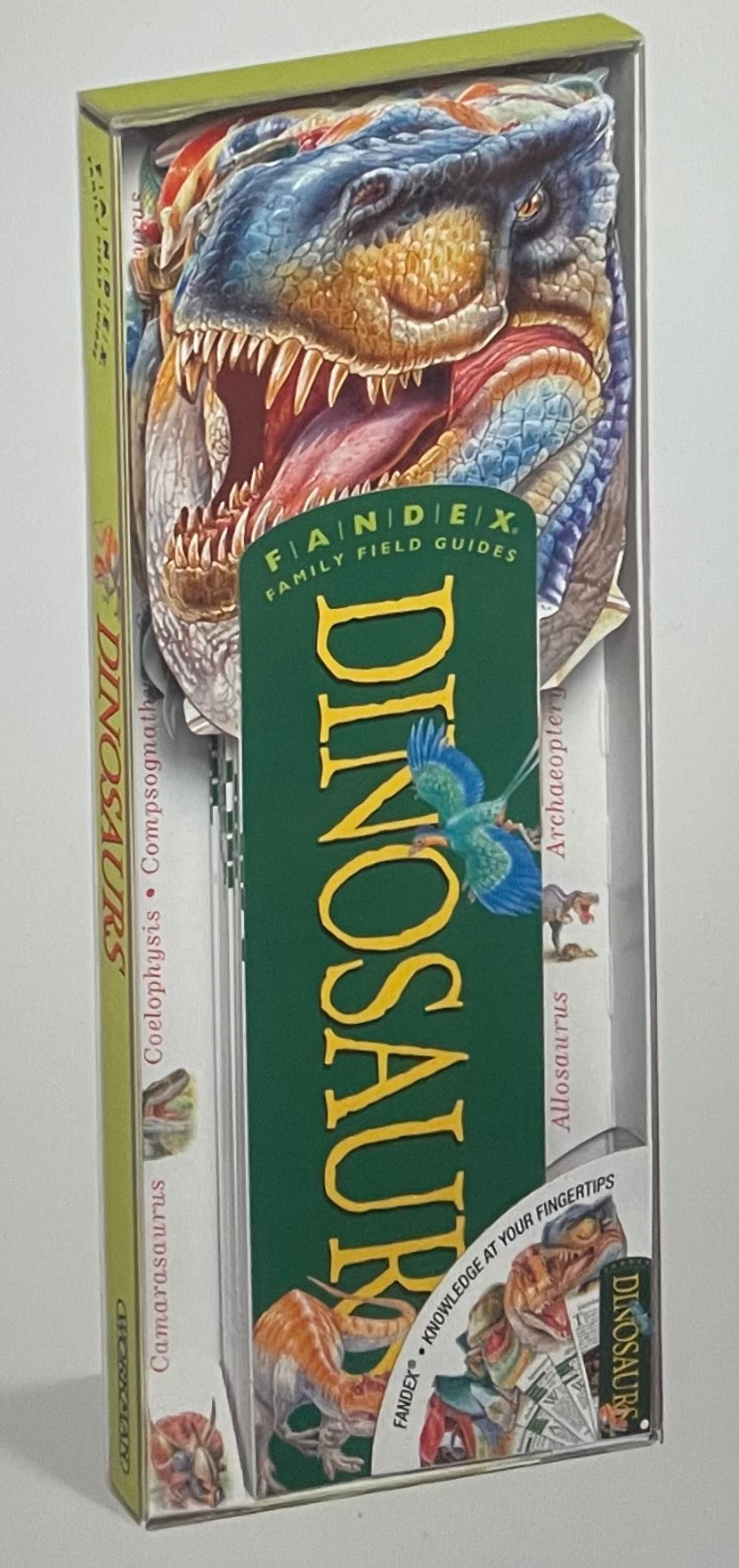 Fandex Family Field Guides: Dinosaurs
